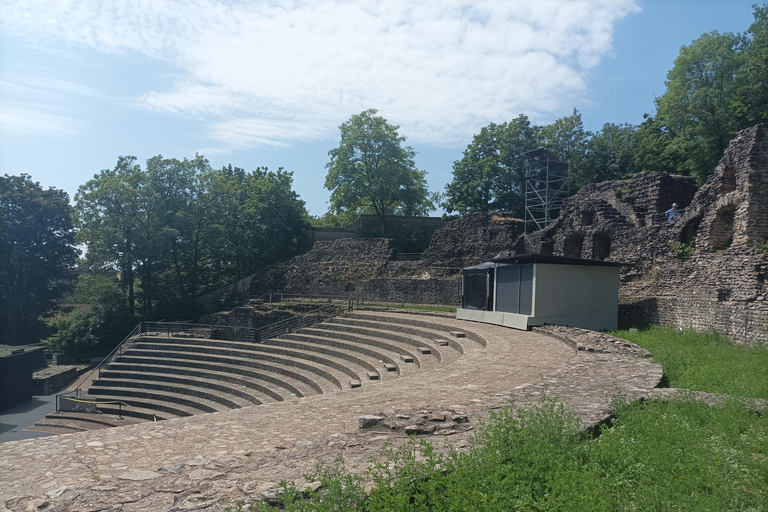 Lyon : Guided tour of Fourvière hill & Roman ruins Price from 21 to 30 people