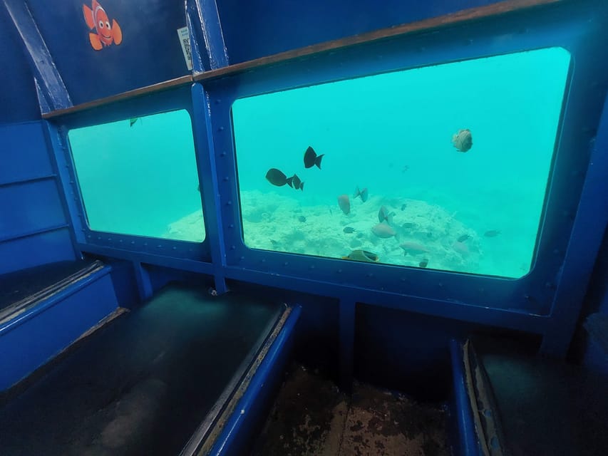 Vanuatu Watersports Port Vila Glass Bottom Boat Semi Sub GetYourGuide