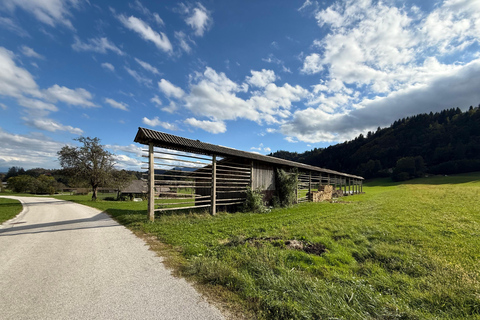 من بليد: رحلة ذاتية التوجيه بالدراجة الإلكترونية إلى منتزه تريغلاف الوطني