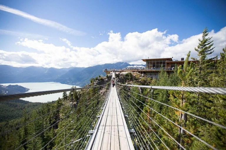 Desde Vancouver: Excursión a Whistler con las cataratas Shannon y la góndola