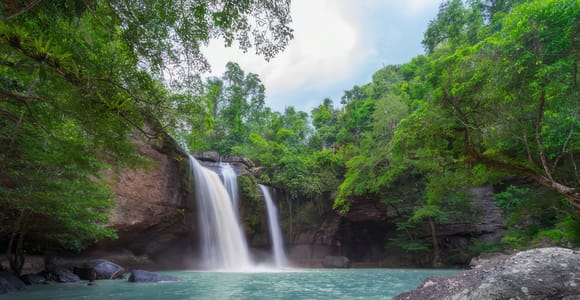 Waterfall, Chocolate Tour, Rainforest, Royal Historical