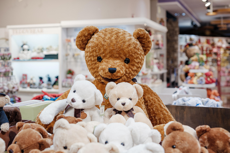 Jeju: Teddy Bear House TESEUM toegangsbewijsJeju: Teddybeerhuis TESEUM Toegangsbewijs