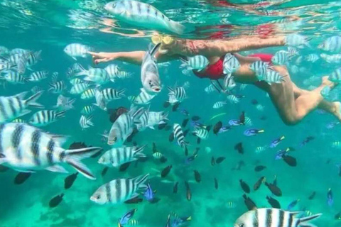 Snorkeling Express Puerto Morelos