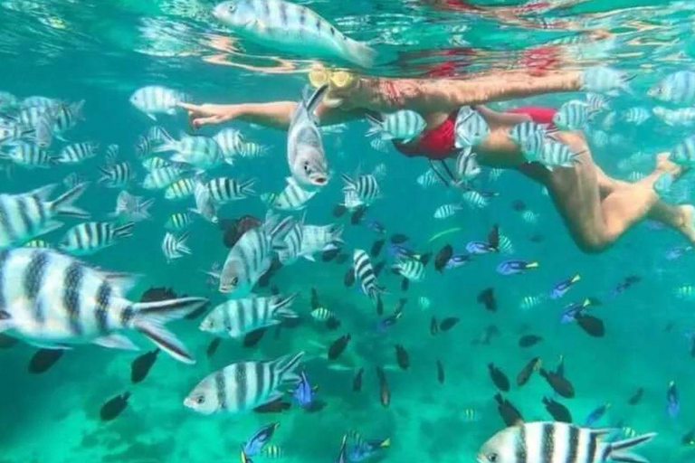 Snorkeling Express Puerto Morelos