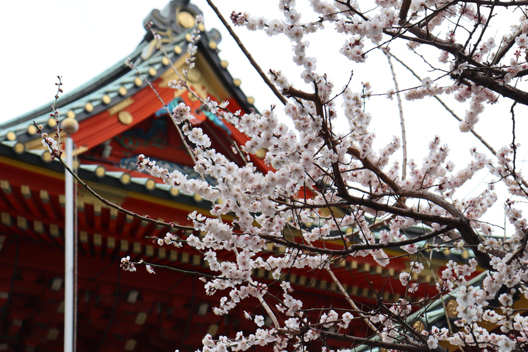 Tokyo Morning Highlights: Shibuya, Asakusa, Meiji-SchreinPrivate Tour