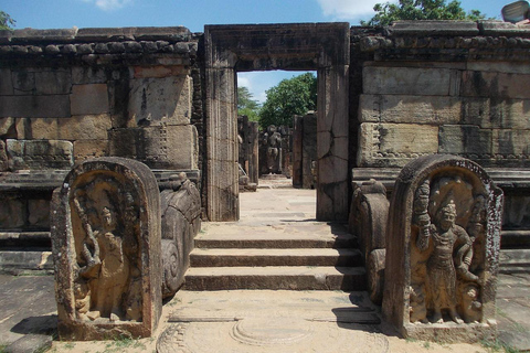 Polonnaruwa Cycling: Paddy-Field Lunch with Eco Park Safari All-Inclusive Package