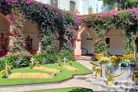 Coyoacan, Histoire et Vie d'un Quartier MagiqueCoyoacan, histoire et vie d'un quartier enchanteur