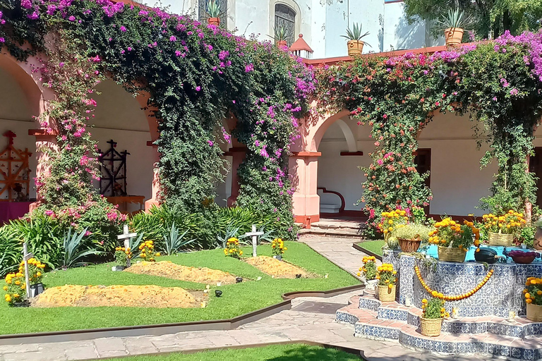 Coyoacan, Histoire et Vie d'un Quartier MagiqueCoyoacan, histoire et vie d'un quartier enchanteur