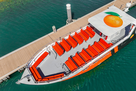 DELFINSKÅDNING &amp; BENAGIL-GROTTAN FRÅN LAGOS – DUBBELTURDOLPHIN WATCHING &amp; BENAGIL CAVE TOUR FRÅN LAGOS - DUBBELUTFLYKT