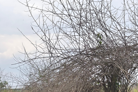 Uganda: 5-Day White Water Rafting, Jinja, and Kampala Tour