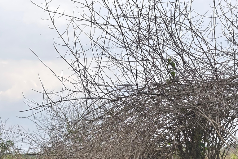 Uganda: 5-Day White Water Rafting, Jinja, and Kampala Tour