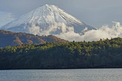 Mount Fuji Full-Day Private Tour from Yokohama Customizable