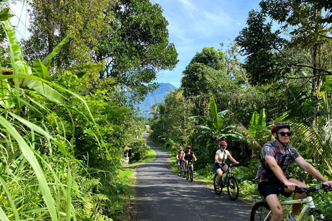 Bali: pola ryżowe, wioska ptaków, wycieczka rowerowa do gorących źródełBali: pola ryżowe, wioska ptaków, gorące źródła – wycieczka rowerowa