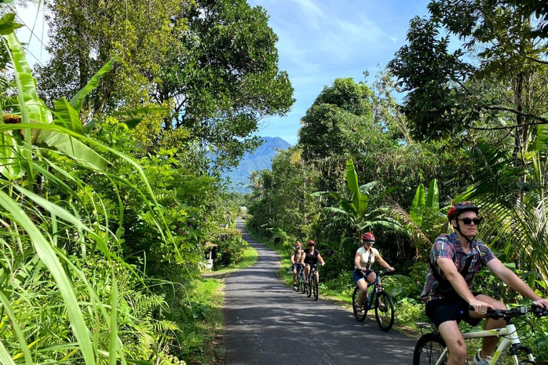 Bali: pola ryżowe, wioska ptaków, wycieczka rowerowa do gorących źródełBali: pola ryżowe, wioska ptaków, gorące źródła – wycieczka rowerowa