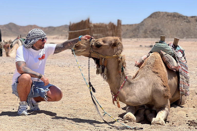 Hurghada: Safari no deserto de 5 horas em moto-quatro e churrascoPasseio de quadriciclo de 2 horas