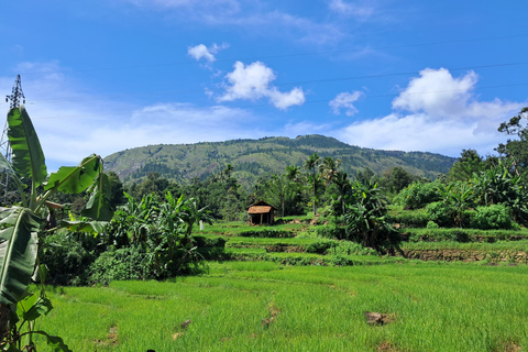 Belihuloya Village Tour with Lunch Ihala Galagama Village Trail with Lunch