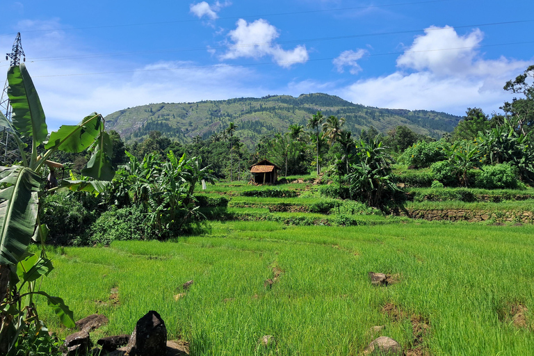 Belihuloya Village Tour with Lunch Ihala Galagama Village Trail with Lunch