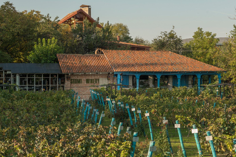 Tbilissi : Visite privée des vignobles de Kakheti avec déjeuner en famille