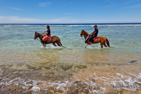 Hurghada: Desert and Red Sea Horseback Riding Tour