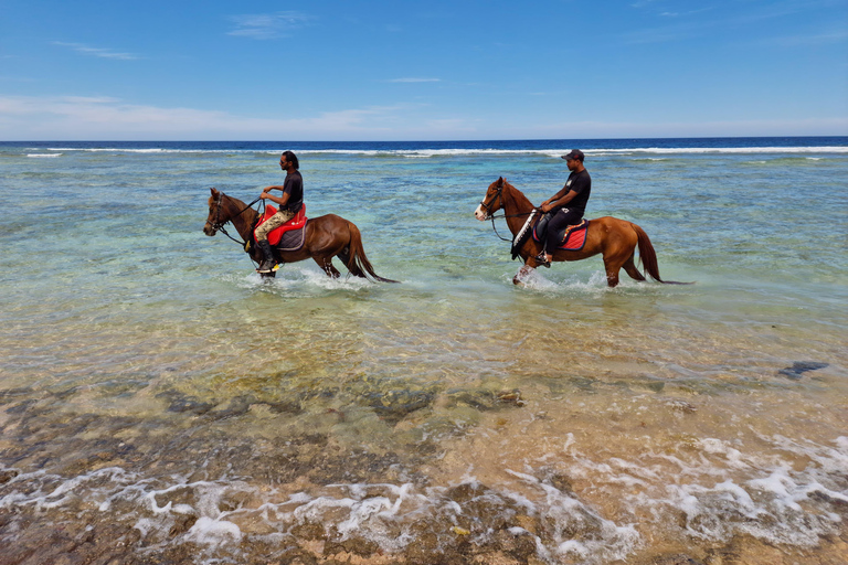Hurghada: Desert and Red Sea Horseback Riding Tour