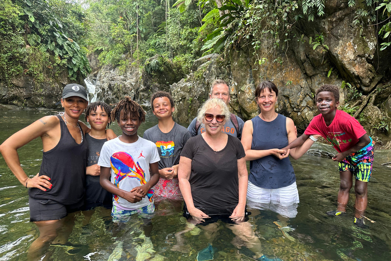 Fajardo : Aventure guidée dans la forêt El Yunque