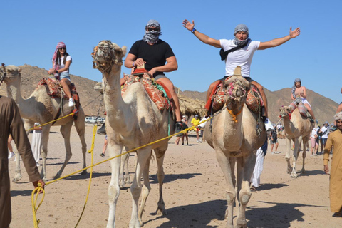 Hurghada: Quad Bike, Buggy, Jeep Safari, giro in cammello e cenaServizio di prelievo in hotel a hurghada