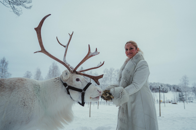 Rovaniemi: Reindeer Farm Visit with Photographer