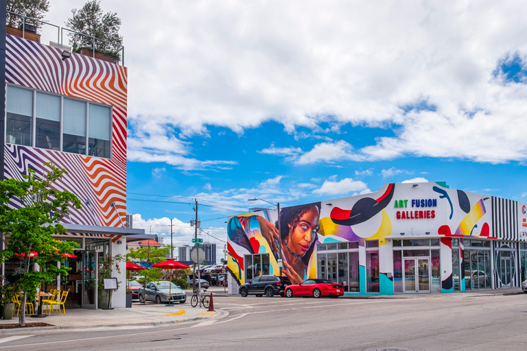 Miami: Wynwood Delicious Donut Tour & Street Art Experience