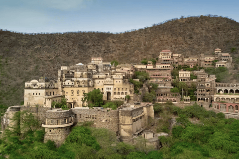 From Delhi: Neemrana Fort, Village Walk and Lunch