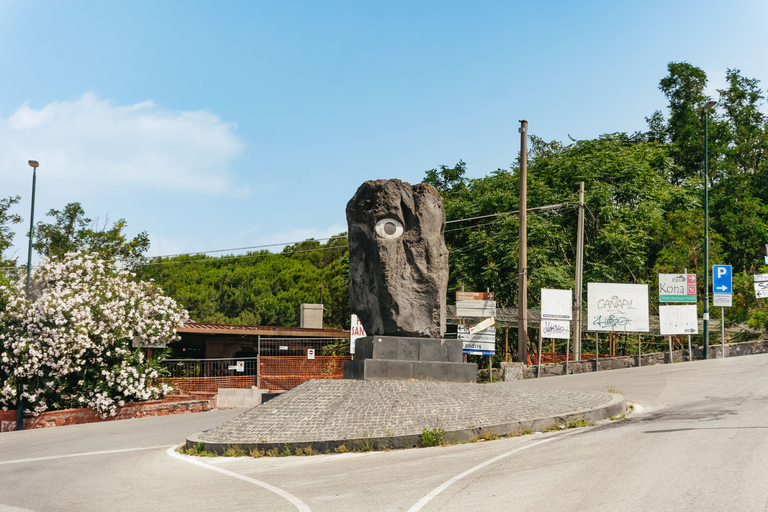 From Rome: Pompeii and Mount Vesuvius Day Trip with LunchPompei &amp; Vesuvius Area Walk with Geologist