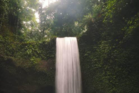 Ubud Tour: Monkey Forest, Waterfall, Rice Terrace, Temple