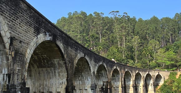 From Ella: Day Tour & Train Ride Over The Nine Arch Bridge