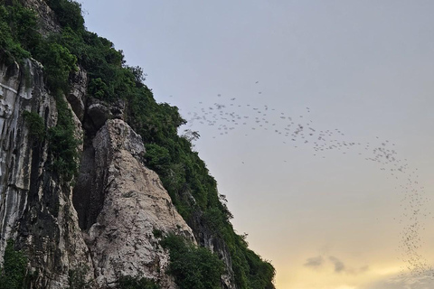 Battambang: Tuk-Tuk, Bat Cave Sunset & Bamboo Train