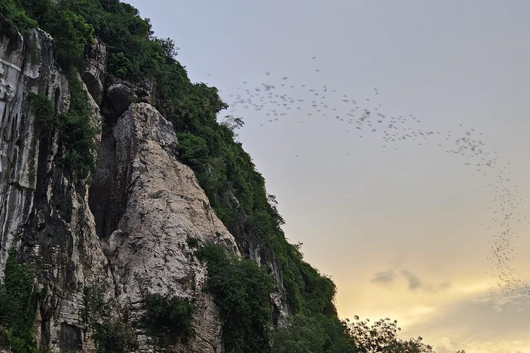 Battambang: Tuk-Tuk, Bat Cave Sunset & Bamboo Train