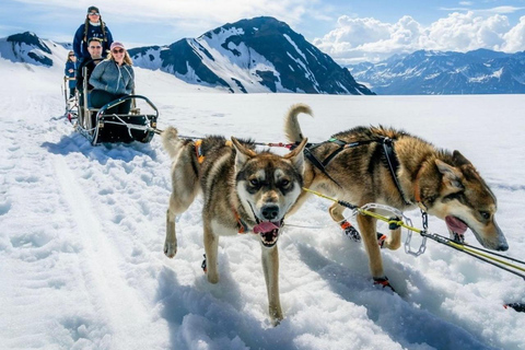 Seward: Heli Tour & Glacier Dogsled with 2 Glacier Landings