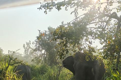 Hurulu Eco Park Private Jeep Safari & Scenic Lake view Hurulu Eco Park Private Safari - Entry Fees Included