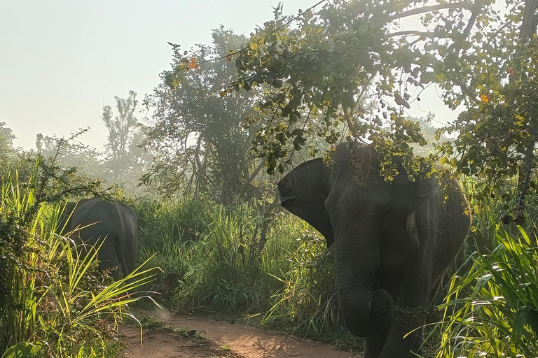 Hurulu Eco Park Private Jeep Safari & Scenic Lake view Hurulu Eco Park Private Safari - Entry Fees Included