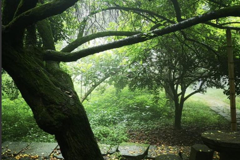 shanghai: Dongming Bamboo & Farm Picking Private Day Trip
