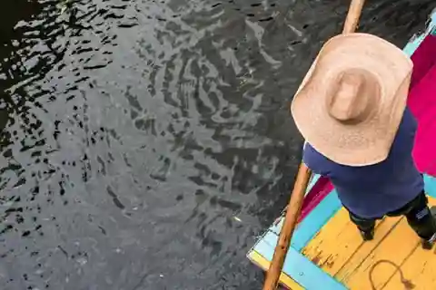 Xochimilco Canals and the Treasures of Coyoacán Tour