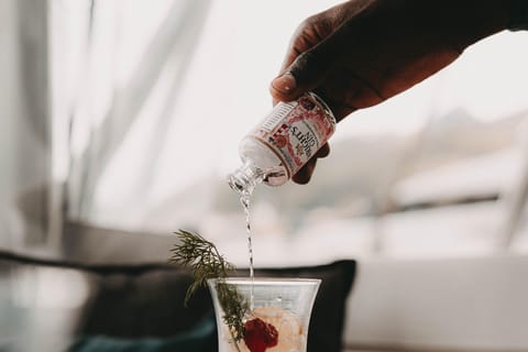 Cape Town: V&A Waterfront Gin Voyage Cruise