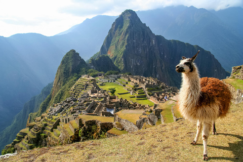 From Cusco: Short Inca Trail to Machu Picchu 1 Day