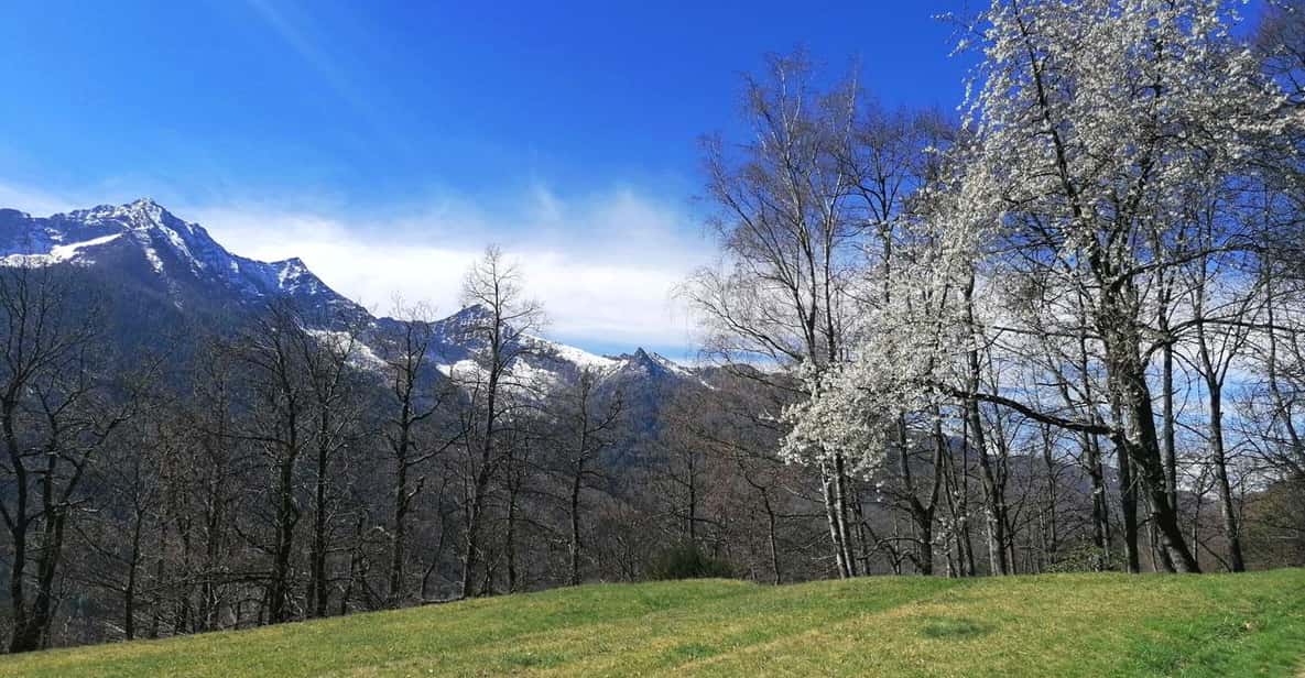 Afbeelding 0 van Bergwandeling vanuit Druogno: authentieke wandeltocht bij het Lago Maggiore