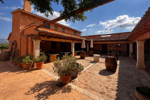 اكتشف كنوز نبيذ مايوركا في أحد أفضل مصانع النبيذمايوركا: اكتشف كنوز النبيذ المحلي