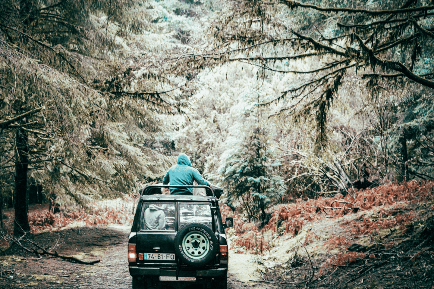 Funchal: Pico do Areeiro to Santana 4x4 East Tour