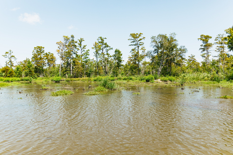 New Orleans: Bayou Tour in het Jean Lafitte National ParkNew Orleans: Bayou-tour in het Jean Lafitte National Park