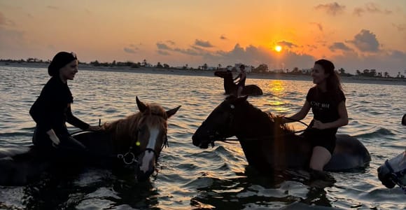 Djerba: Sunrise Horseback Ride, Swim, and Breakfast