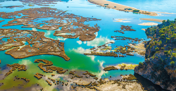 From Bodrum: Dalyan, Turtle Beach, and Mud Baths Day Trip