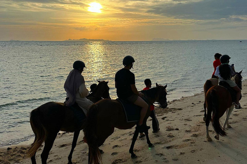 Viaggio a cavallo sulla spiaggia al tramonto di Phuket