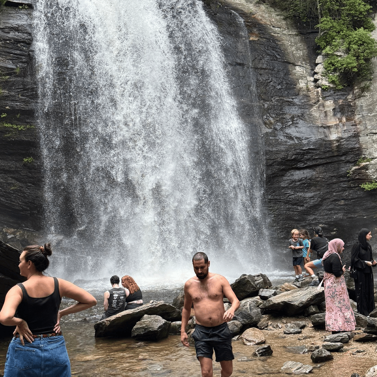 Ab Asheville: Blue Ridge Parkway & Wasserfall Jeep-Tour