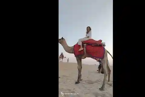 Viagem de 1 dia de Jaipur a Puskar